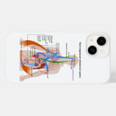 Renine-angiotensinesysteemkaart Menselijk Lichaams Case-Mate iPhone Case (Achterkant (horizontaal))