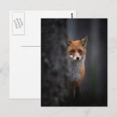 rennen briefkaart (Voorkant / Achterkant)