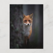 rennen briefkaart (Voorkant)