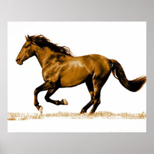 Rennend Paard Poster Print