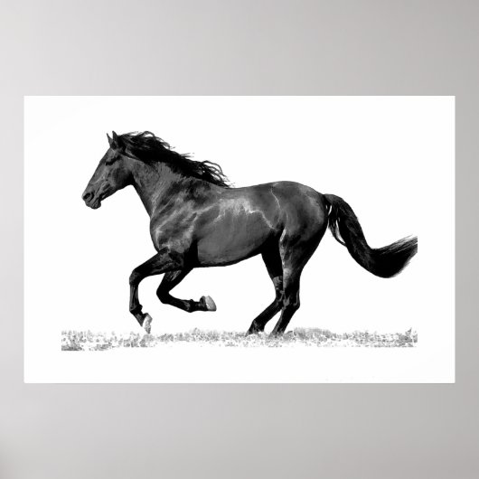 Rennend Paard Zwart Wit Poster (Voorkant)