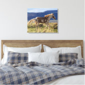 Rennende hengst, Steens Mountains, Oregon Canvas Afdruk (Insitu (Slaapkamer))