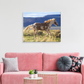 Rennende hengst, Steens Mountains, Oregon Canvas Afdruk (Insitu (Woonkamer))