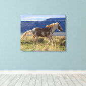 Rennende hengst, Steens Mountains, Oregon Canvas Afdruk (Insitu (Houten vloer))