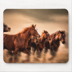 Rennende paarden muismat