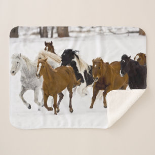 Rennende paarden op The Hideout Ranch Sherpa Deken