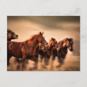 Rennende paarden, vage contouren en wapperende man briefkaart