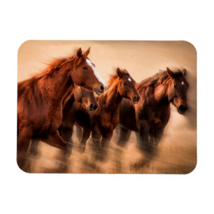 Rennende paarden, vage contouren en wapperende man magneet