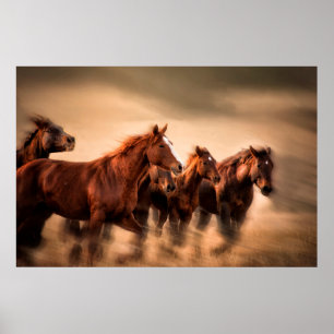 Rennende paarden, vage contouren en wapperende man poster