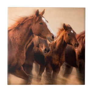 Rennende paarden, vage contouren en wapperende man tegeltje