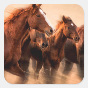 Rennende paarden, vage contouren en wapperende man vierkante sticker