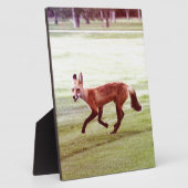 rennende rode vos foto fotoplaat (Zijkant)