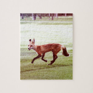 rennende rode vos foto legpuzzel