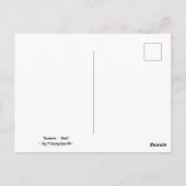 Renner Pink Briefkaart (Achterkant)