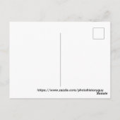 RENO NEVADA  COLORFUL WATERVERF ART. BRIEFKAART (Achterkant)