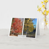 Reno Parks in Herfst, Nevada, Photography J.Halko Kaart (Gele Bloem)