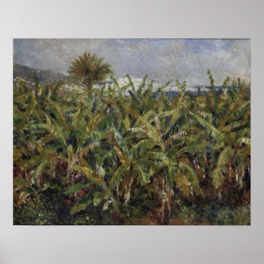 Renoir - Banaanboomgaard Poster (Voorkant)
