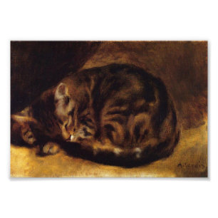 Renoir Slapende Cat Print Foto Afdruk