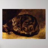 Renoir Sleeping Cat Poster (Voorkant)