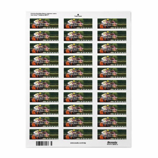 renpaard-8 etiket (Full Sheet)