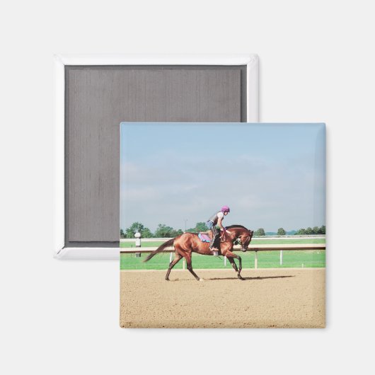 renpaard magneet (Voorkant / Achterkant)