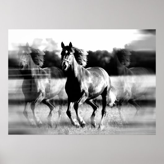 Renpaard Poster Print - B&W Paard Posters (Voorkant)
