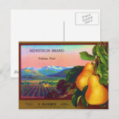 Repeiing Briefkaart (Voorkant / Achterkant)