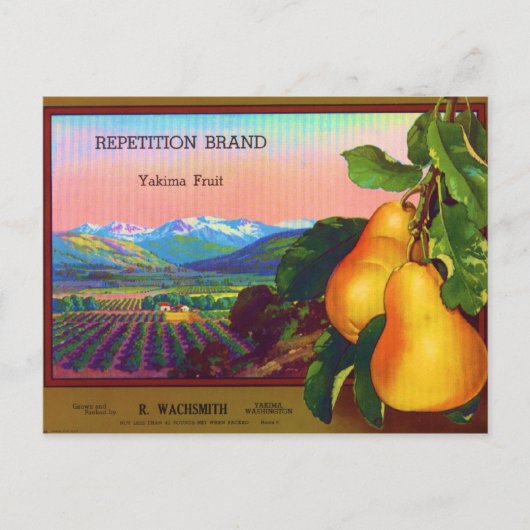 Repeiing Briefkaart (Voorkant)