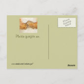 repentant chipmunk briefkaart (Achterkant)
