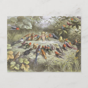  repetitie in Fairyland Briefkaart