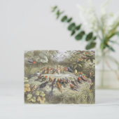  repetitie in Fairyland Briefkaart (Staand voorkant)