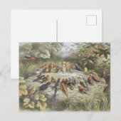  repetitie in Fairyland Briefkaart (Voorkant / Achterkant)