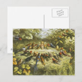 repetitie in het Briefkaart Fairyland door Richard (Voorkant / Achterkant)