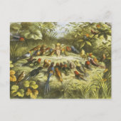 repetitie in het Briefkaart Fairyland door Richard (Voorkant)