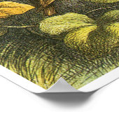 repetitie in het Poster Fairyland door Richard Doy (Hoek)