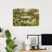 repetitie in het Poster Fairyland door Richard Doy (Thuiskantoor)