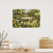 repetitie in het Poster Fairyland door Richard Doy (Keuken)