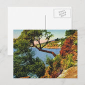 Replica  briefkaart, Toulon, Pet Brun Briefkaart (Voorkant / Achterkant)