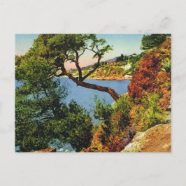 Replica briefkaart, Toulon, Pet Brun Briefkaart