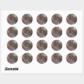 Replica City map of Rotterdam 1652 Ronde Sticker (Vel)