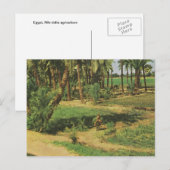Replica  Egypte, Nile delta agriculture Briefkaart (Voorkant / Achterkant)
