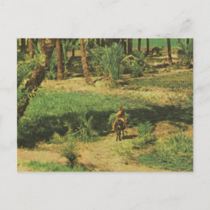 Replica  Egypte, Nile delta agriculture Briefkaart