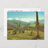 Replica Haute Semien, Ethiopië, 3750 m Briefkaart (Voorkant / Achterkant)