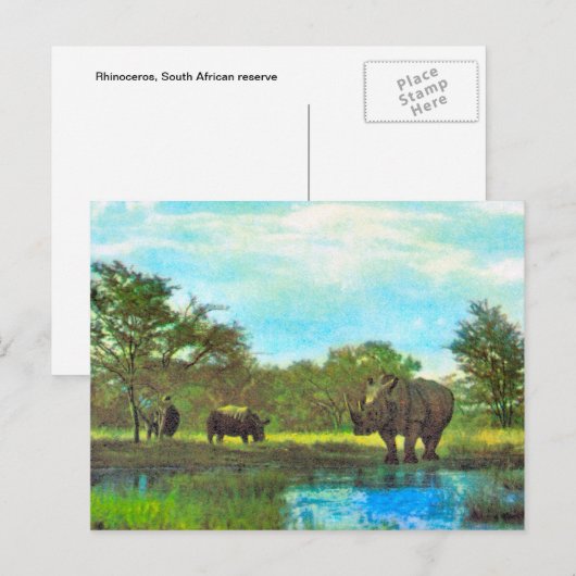 Replica  Rhinoceros, reserve Zuid-Afrika Briefkaart (Voorkant / Achterkant)
