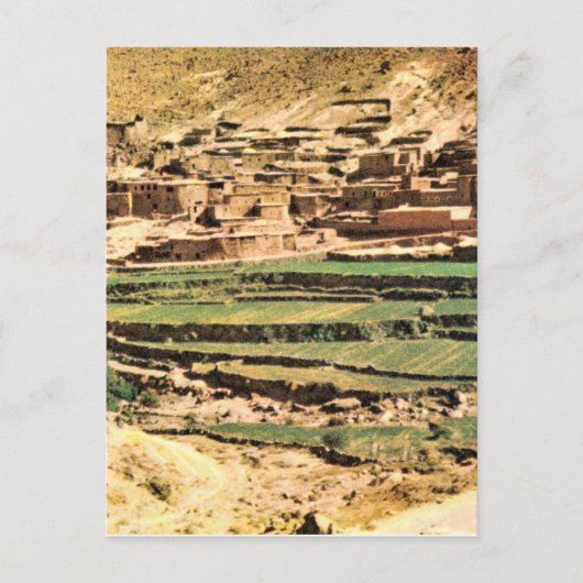 Replica  Terraces van Maize, Berber Briefkaart (Voorkant)