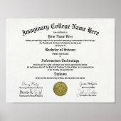 Replica universiteits- of hogeschooldiploma kunst poster (Voorkant)