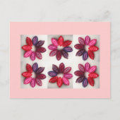 Representative: Can't say it, don't legislate it! Briefkaart (Voorkant)