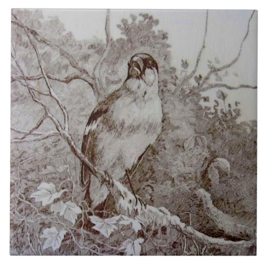 Repro 1886 Minton Sepia Transferware Bird Art TIle Tegeltje (Voorkant)