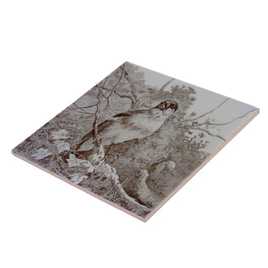Repro 1886 Minton Sepia Transferware Bird Art TIle Tegeltje (Zijkant)