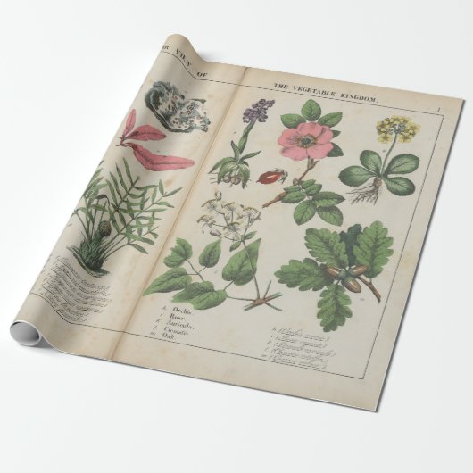 Reproductie van Britse botanische kunst Cadeaupapier (Uitgerold)